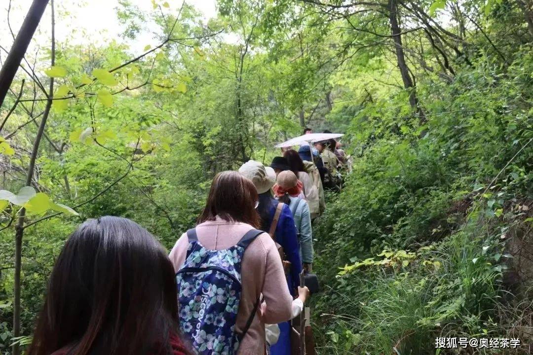 开云全站大学生练习茶艺高潮死灰复燃(图2)