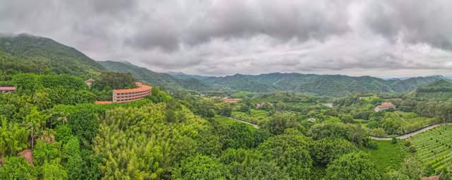 开云全站茗茶远离都市的叫嚣正在青山绿水间尽兴减弱身心享用自然(图9)