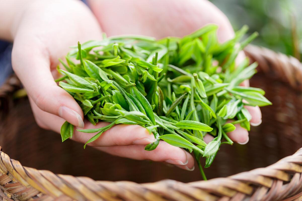 开云全站茗茶是什么趣味（茗与茶两者有什么区别）(图3)