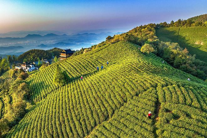 12月18日！天地茗茶聚径山共赴“开云全站茶圣”之约(图1)