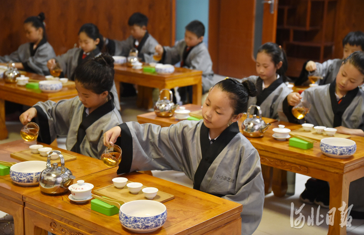 开云全站河北：感触茶艺之美(图2)