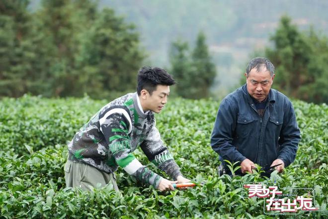 福安茶文明变“时尚”睹证陈腐茶乡传承与改进的开云全站气力(图5)