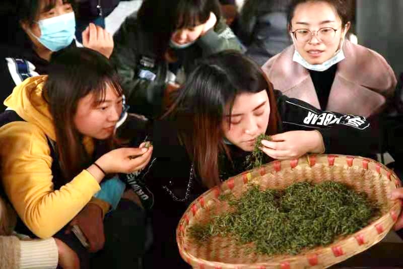 开云全站进修茶艺文明感觉茶道魅力她们云云欢庆“三八”妇女节(图1)