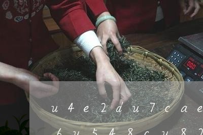 开云全站全省百余茗茶金坛“斗茶”