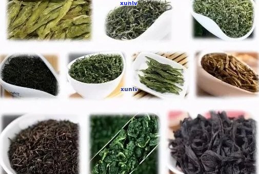 开云全站茗茶的品种有哪些？理解各种茗茶及其图片(图1)