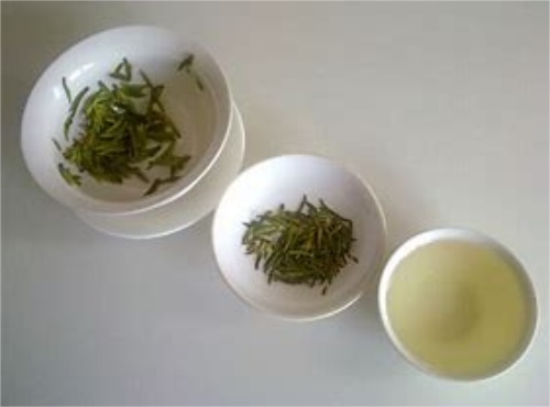 【奋进的春天】贵开云全站州朵贝茶业：茗茶初绽叶清香