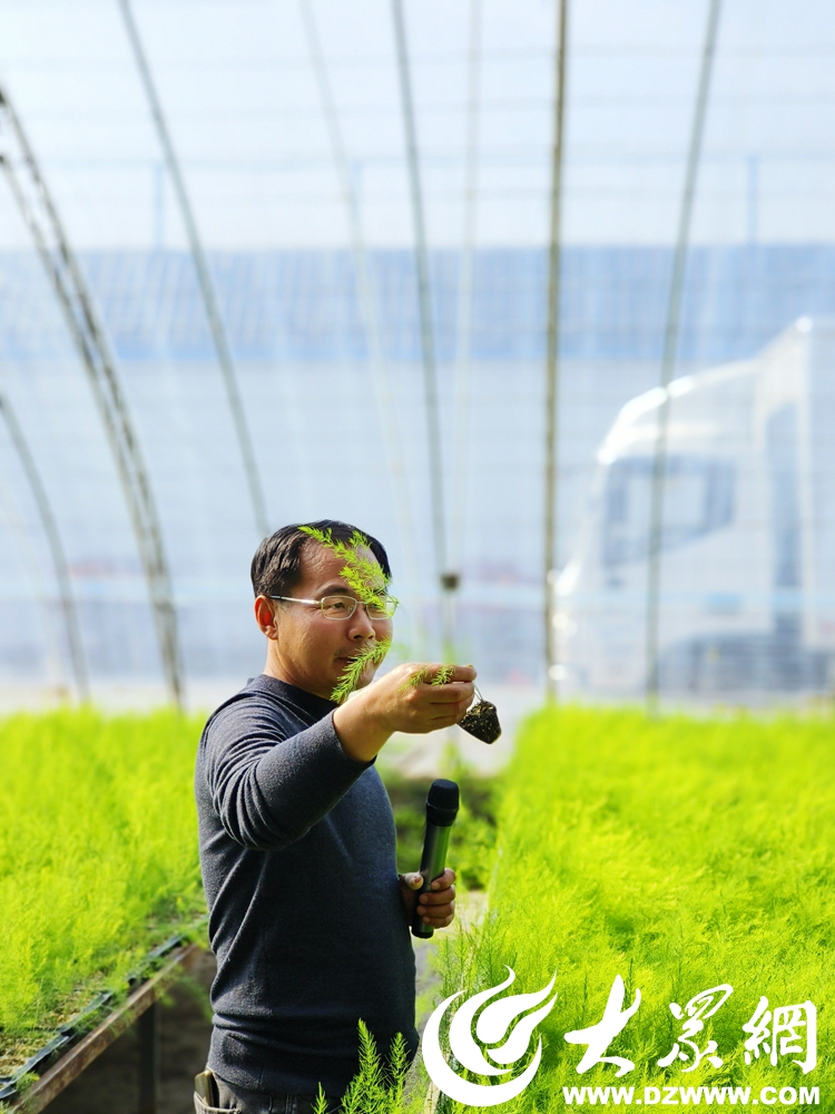 开云全站旺达种苗、孟庄草莓、蒂夷茗茶香小镇……看市中区这俩州里解锁品牌农业起色“暗号”(图2)