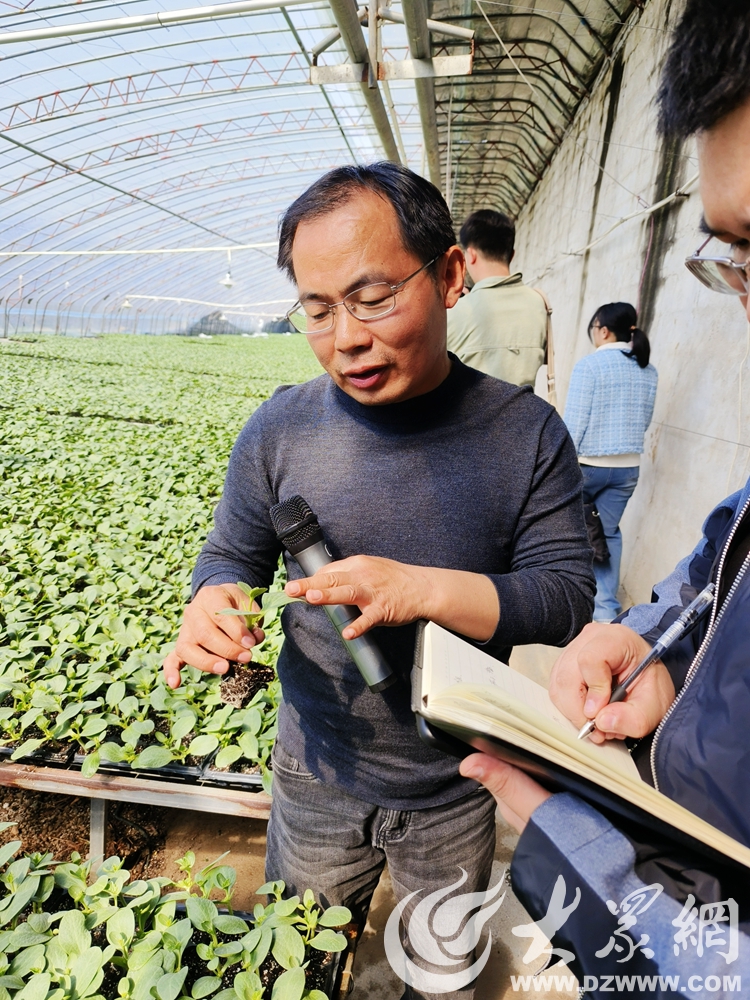 开云全站旺达种苗、孟庄草莓、蒂夷茗茶香小镇……看市中区这俩州里解锁品牌农业起色“暗号”(图3)