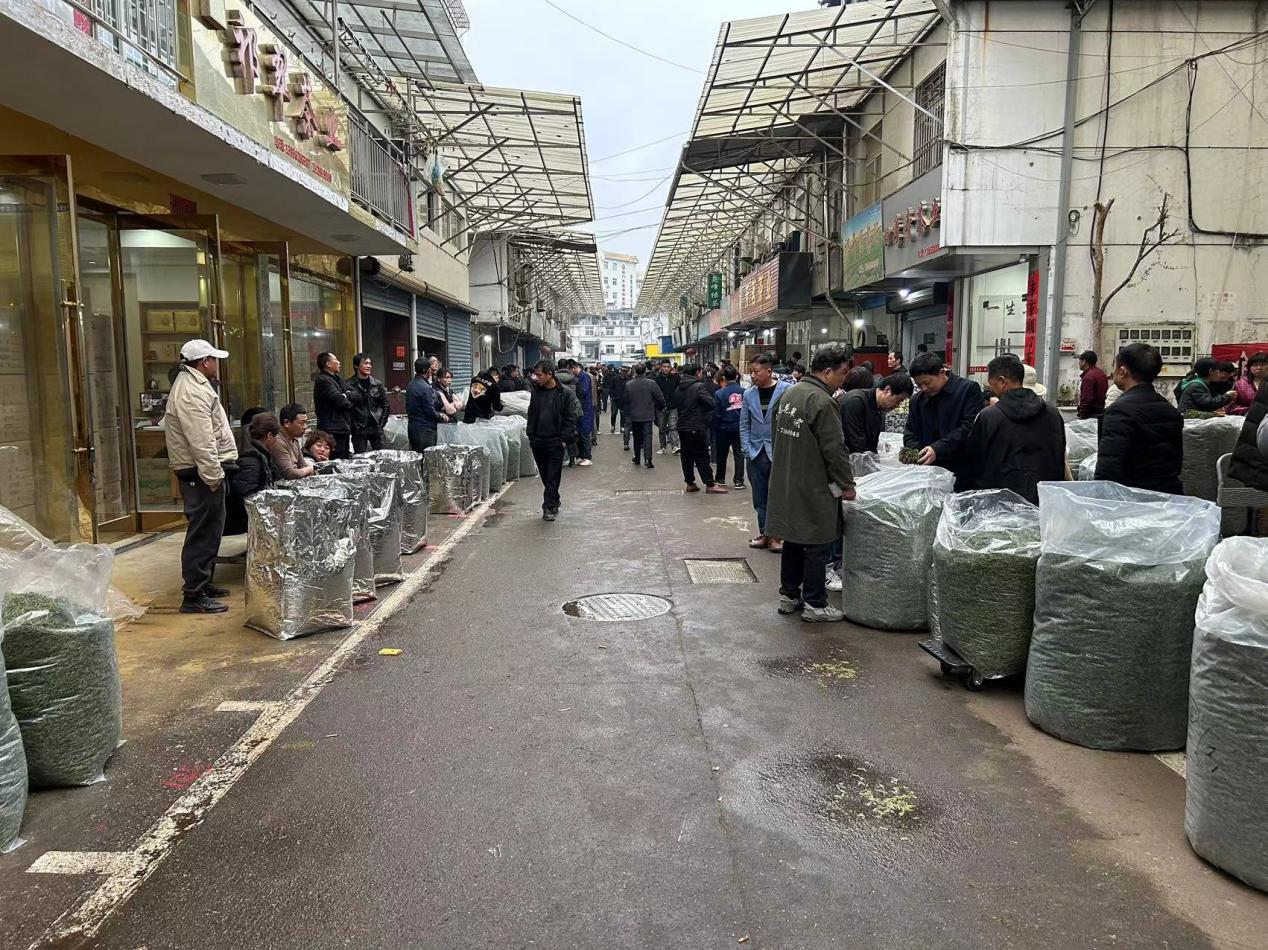 开云全站祁门县祁山镇：“小茶叶”做出“大发展”(图1)