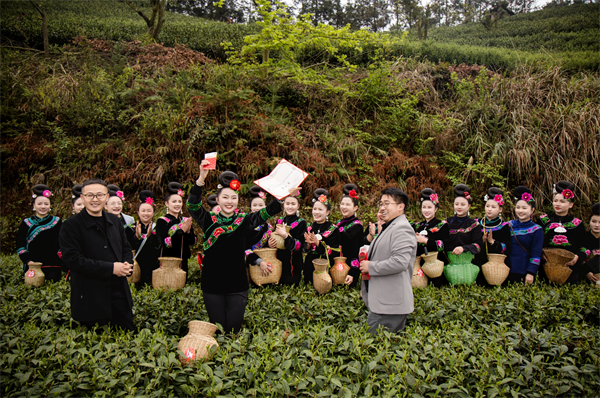 雷山银球茶问鼎中邦好绿茶贵州金开云全站奖茶王(图1)