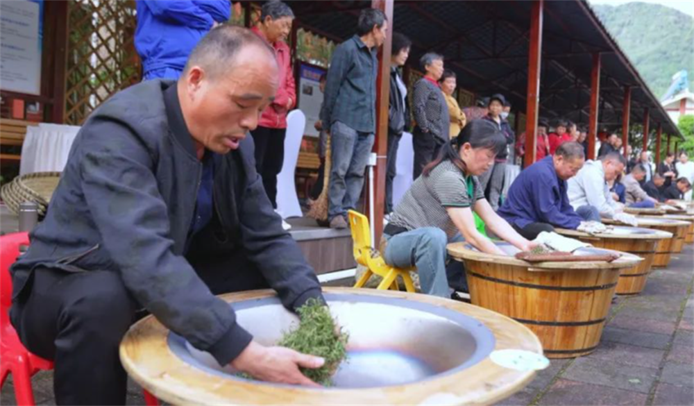 开云全站久等了崇州枇杷茶飘香上新(图5)