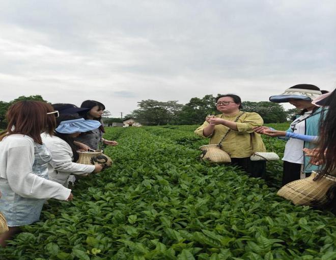 湖南音信职院：茶艺教授与企业导师开云全站正在茶山上全体备课(图1)