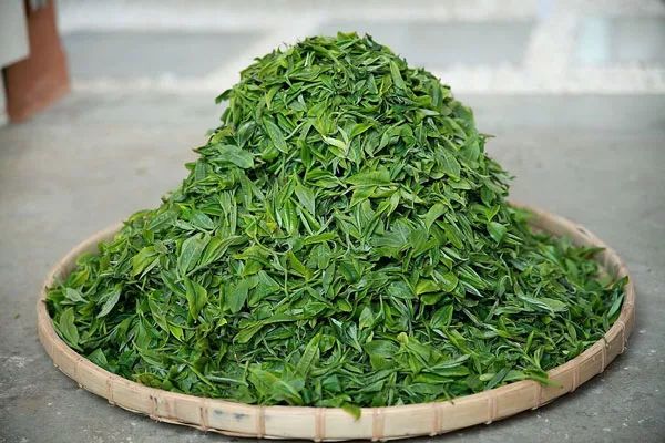 开云全站茶叶相干食物资讯_食物伙伴网