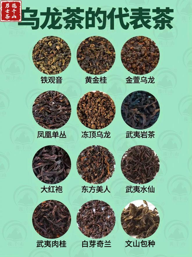 开云全站中邦六大茶类的代外茶你喝过几种？(图4)