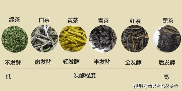 六开云全站大茶类根本常识（中邦六大根本茶类）(图1)