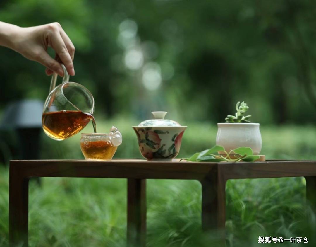 开云全站茶叶问答 来看看你对茶叶的认识吧(图3)