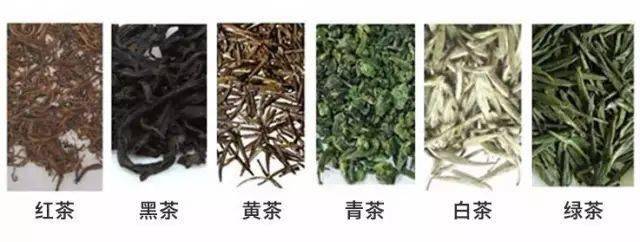 开云全站茶和茶区别终究正在哪？(图1)