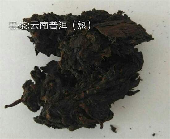 开云全站20种茶叶看图认茶茶叶品种图片对比(图18)